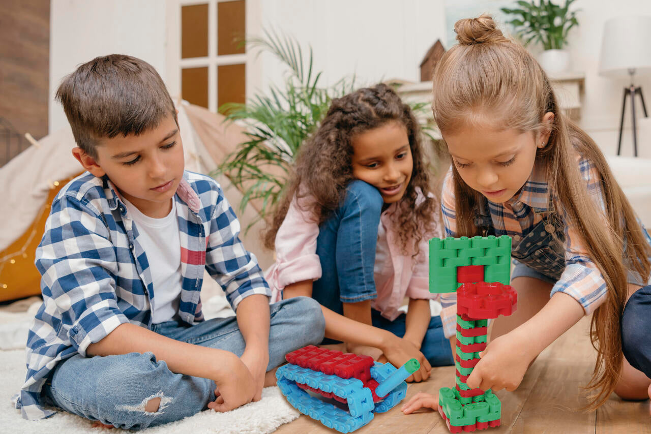 Acti Builders 730 pcs