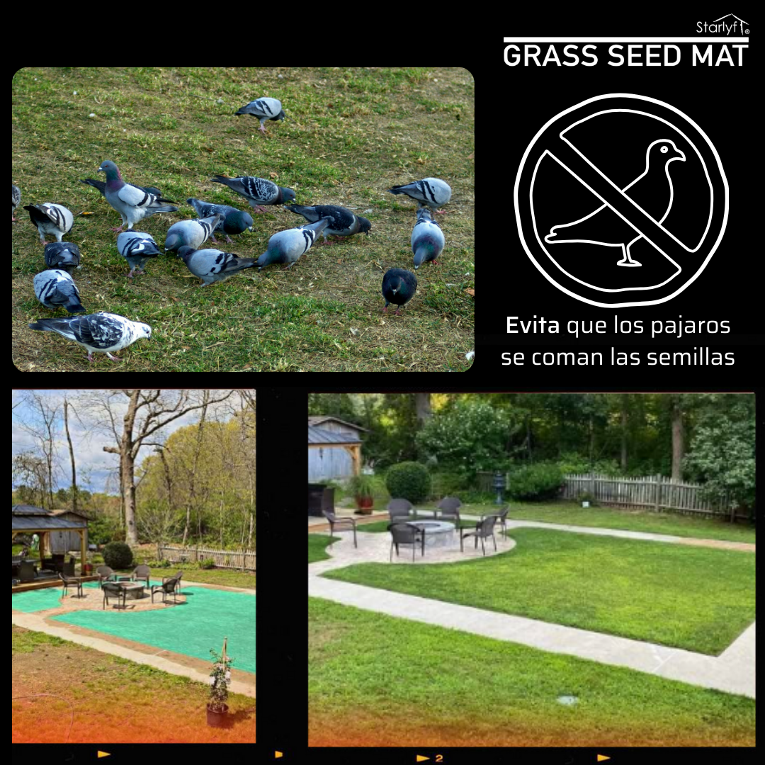 Grass Seed Mat