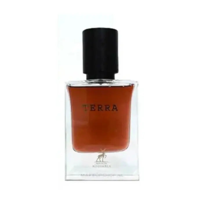 Perfume Terra para Hombre 50ML – Reyes Queens